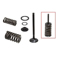 Psychic Valve, Spring & Retainer Kit 28.XU-09543EK