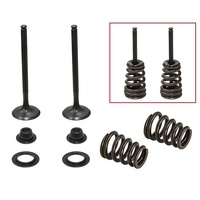 Psychic Exhaust Valves (2 Only) for KTM 540 SXS RACING 2003-2004