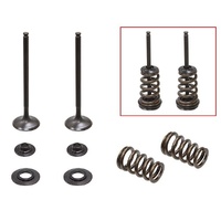 Psychic Exhaust Valve & Spring Kit for KTM 250 SX-F 2005-2007
