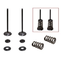 Psychic Valve, Spring & Retainer Kit 28.XU-09550IK