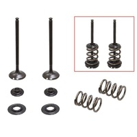 Psychic Exhaust Valve & Spring Kit for KTM 250 SX-F 2008-2012