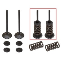 Psychic Intake Valve & Spring Kit for Husaberg FE250 2013