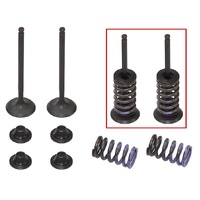 Psychic Exhaust Valve & Spring Kit for Yamaha WR250 F 2015-2024