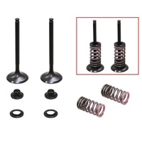 Psychic Valve, Spring & Retainer Kit 28.XU-09554EK