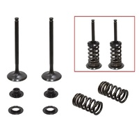 Psychic Exhaust Valve & Spring Kit for Gas Gas EX350 F 2021-2023