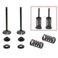 Psychic Exhaust Valve & Spring Kit for KTM 350 SX-F 2013-2022