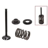 Psychic Valve, Spring & Retainer Kit 28.XU-09558-1EK