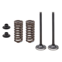 Psychic Valve, Spring & Retainer Kit 28.XU-09566EK