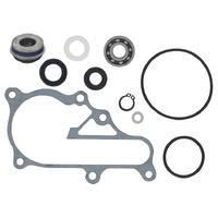 Psychic Water Pump Repair Kit 33.AT-10049