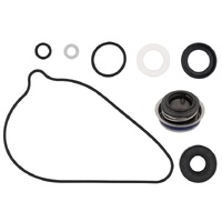 Psychic Water Pump Repair Kit 33.AT-10065