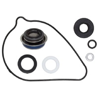 Psychic Water Pump Repair Kit 33.AT-10069