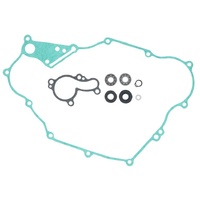 Psychic Water Pump Repair Kit 33.AT-10072