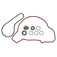 Psychic Water Pump Repair Kit 33.AT-10082