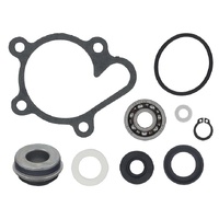 Psychic Water Pump Repair Kit 33.AT-10094