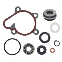 Psychic Water Pump Repair Kit 33.AT-10097