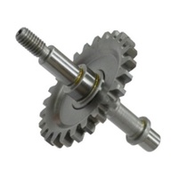 Psychic Water Pump Shaft/Impeller 33.MX-10214B