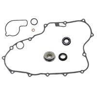 Psychic Water Pump Repair Kit 33.MX-10231