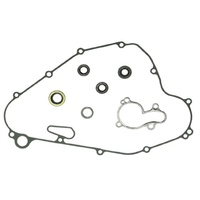 Psychic Water Pump Repair Kit 33.MX-10235