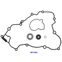 Psychic Water Pump Repair Kit 33.MX-10253