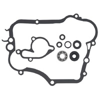 Psychic Water Pump Repair Kit 33.MX-10261