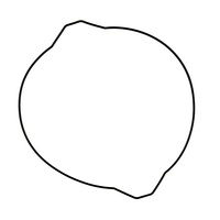 Pro X Outer Clutch Cover Gasket 37.19.G2399