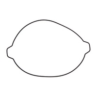 Pro X Outer Clutch Cover Gasket for Gas Gas MC125 2021-2023