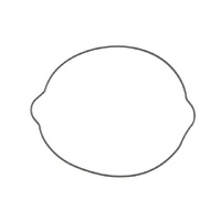 Namura Outer Clutch Cover Gasket 37.NX-70053CG2