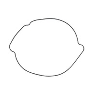 Namura Clutch Cover Gasket for Husaberg FC501 1990-1999 37.NX-70068CG2
