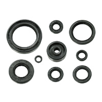 Psychic Engine Seal Kit 43.MX-09207