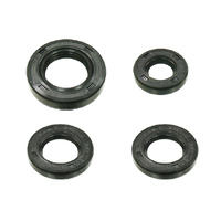 Psychic Engine Seal Kit for Honda XR100R 1981-2009