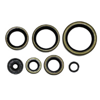 Psychic Engine Seal Kit for KTM 250 SX 1992-2002