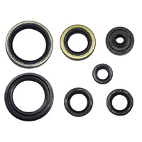 Psychic Engine Seal Kit 43.MX-09268