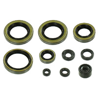 Psychic Engine Seal Kit 43.MX-09287