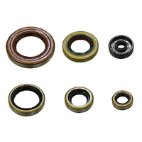 Psychic Engine Seal Kit for Gas Gas MC65 2021-2023