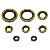 Psychic Engine Seal Kit for KTM 400 SX 2000-2002