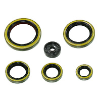 Psychic Engine Seal Kit for Husaberg TE300 2011-2014