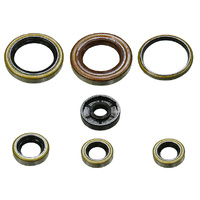 Psychic Engine Seal Kit 43.MX-09296