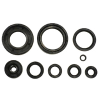 Psychic Engine Seal Kit 43.MX-09376