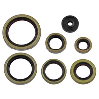 Psychic Engine Seal Kit for Husqvarna TE300 2017-2024