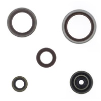 Athena Engine Seal Kit for Beta RR 250 RACE /X-PRO 2025