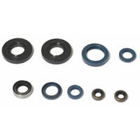 Athena Engine Seal Kit 43.P400090400060