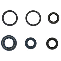 Athena Engine Seal Kit 43.P400210400004