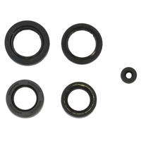 Athena Engine Seal Kit 43.P400210400015