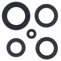 Athena Engine Seal Kit 43.P400210400118
