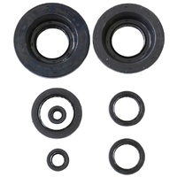 Athena Engine Seal Kit 43.P400210400199