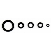 Athena Engine Seal Kit 43.P400210400241