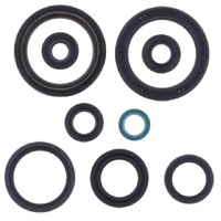 Athena Engine Seal Kit 43.P400210400317