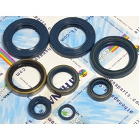 Athena Engine Seal Kit 43.P400250400006