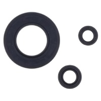 Athena Engine Seal Kit 43.P400250400033