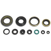 Athena Engine Seal Kit 43.P400250400256